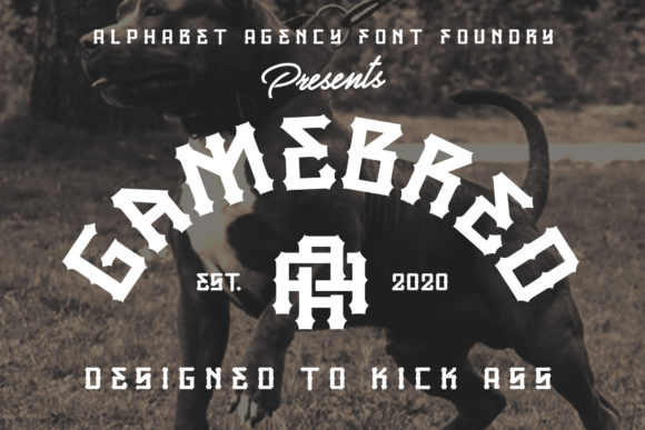 Gamebred: A Bold Display Font for Digital Branding
