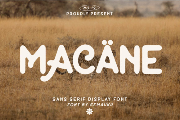 Macane: A Vintage-Inspired Display Font for Editorial Design